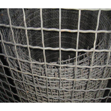 Stainless Steel Crimped Wire Mesh /Stainless Steel Screen Wire Mesh